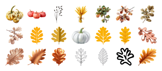Assorted autumn elements featuring pumpkins, leaves, apples, and wheat for harvest design on transparent background
