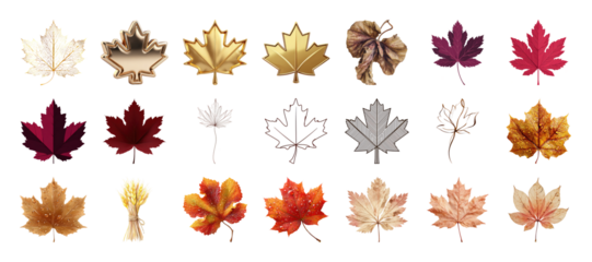 Diverse Collection of Autumn Leaves and Wheat in Varied Styles and Colors on transparent background