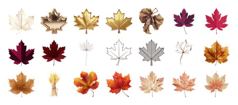 Diverse Collection of Autumn Leaves and Wheat in Varied Styles and Colors on transparent background