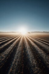 Fototapeta premium Sunset Over Harvested Field with Machinery Silhouettes and Dust Particles