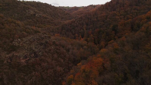 Langsamer Drohnen Flug - Luftaufnahme - &uuml;ber dem herbstlichen Wald