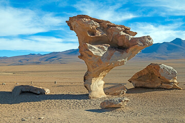 Dramaric Eroded Stone Tree Ventifact