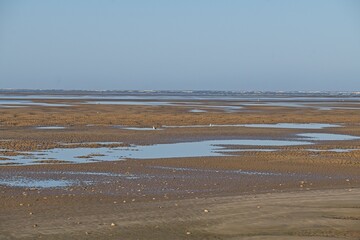 landscape in the Donana National Park in Andalusia