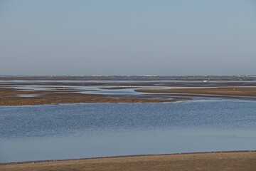 landscape in the Donana National Park in Andalusia