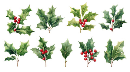 Collection of holly leaves with red berries isolated on transparent background