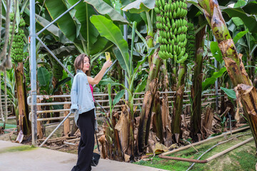 Woman taking photo of a banana bunch with smartphone during tour at banana farm, travel mood, agriculture, tourism, and social media industry.