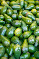 Top view of freshly harvested avocados