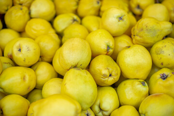 Quince fruits, pile of ripe yellow quince as a background in the farmers market.