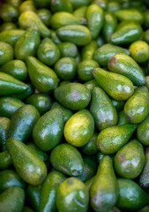 Top view of freshly harvested avocados