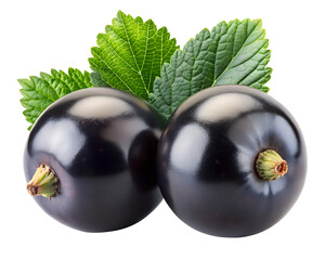 blackcurrants isolated on transparent white background full depth of field clipping path 