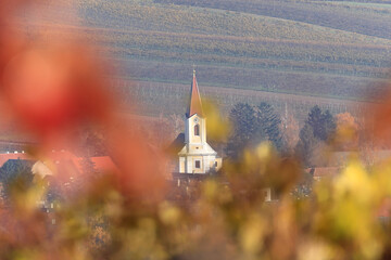 Pfarrkirche von Klein Hadersdorf im Weinviertel,  Nieder&ouml;sterreich - Blick durch Weinlaub auf die Landschaft