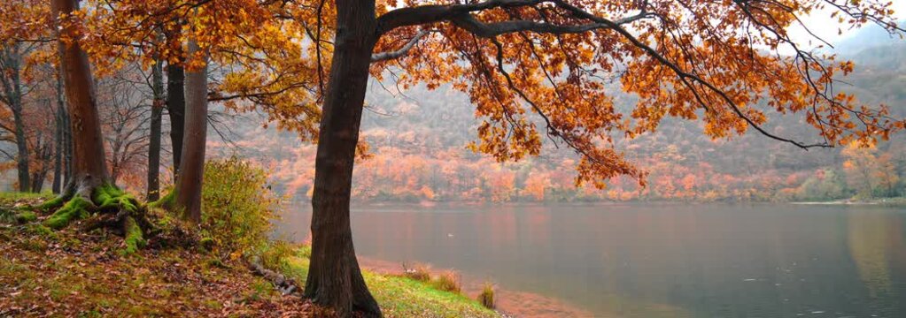 Anamorphic Lens - Autumn day on Lake Ghirla in the Ganna Valley