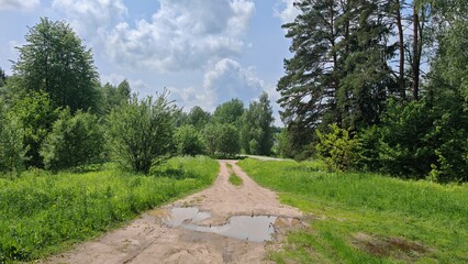 A country road leads along a grassy lawn with bushes and trees to an asphalt road. There is a puddle on the road after the rain. Sunny summer weather and blue sky with clouds