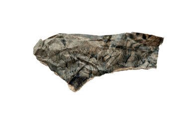 Fragmento de papel arrugado y envejecido con textura y manchas oscuras sobre fondo blanco