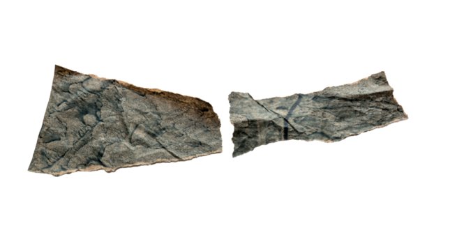 Fragmentos de papel envejecido y arrugado sobre fondo negro