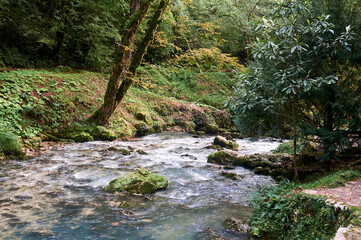 A crystal-clear river flows through vibrant spring forest where fresh greenery embraces the water's path.
