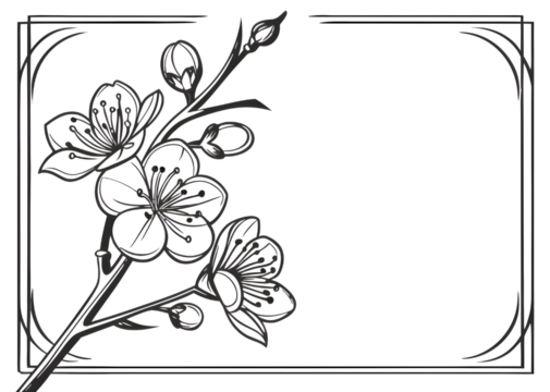 Elegant line art cherry blossom branch isolated on transparent background