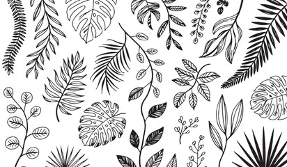 Hand-Drawn Botanical Leaf Pattern with Tropical and Jungle Plant Foliage Elements, Elegant Natural Floral Background for Fabric, Wallpaper, Packaging Decor and Eco Organic Design.