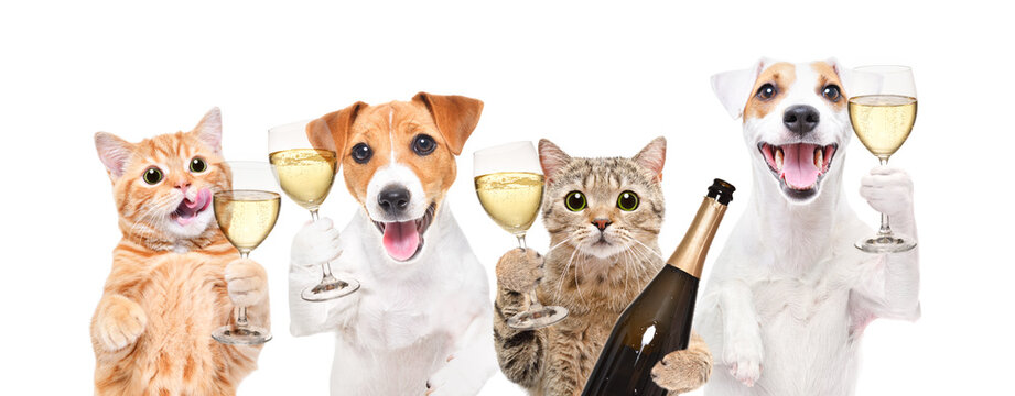 Group of happy pets with champagne isolated on white background