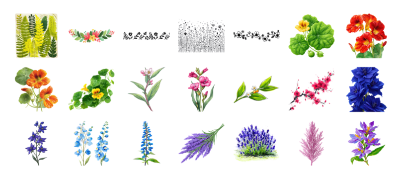 Assorted watercolor wildflowers collection including lavender, delphinium and nasturtium, floral set isolated on transparent background