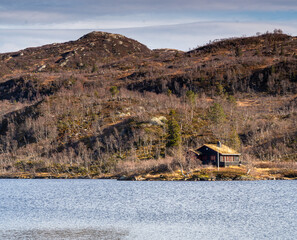 Bosques en los oto&ntilde;os de Noruega