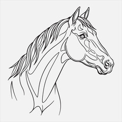 Beautiful horse head line art vector design