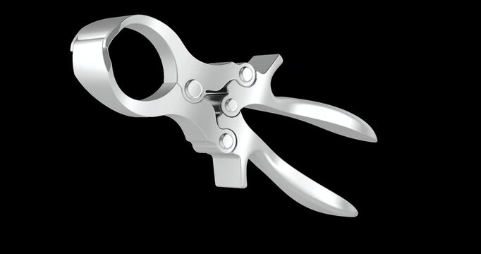 Castration pliers, veterinary emasculator rotation animation seamlessly loopable. 3D rendering isolated on transparent background