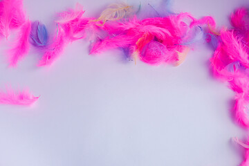 Close-up of soft colored fluff on a white background