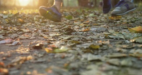 Camera view of road covered with multicolor leaves in park or woods. Warm autumn weather. People wearing comfortable sneakers during sprinting. Training outdoors. Close-up of shoes. Sportswear concept