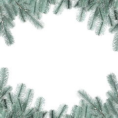 Christmas tree branches isolated on white. Greeting card or poster design