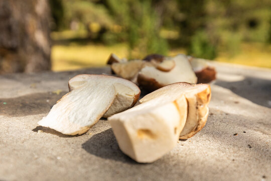 Fresh porcini mushrooms on a rustic wooden surface