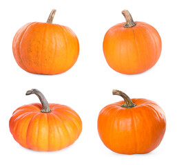 Fresh ripe pumpkins isolated on white, set
