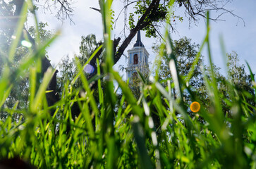 autumn landscape with lawn grass in close-up from ground level with elements of nature and architecture