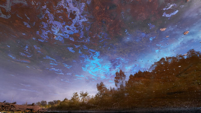 Biofilm colors in San Vicente de la Barquera marsh