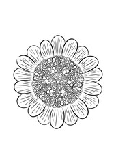DIFERENTES FLORES ESTILO LINEAL, FLORES CON DIBUJO LINEAL EN VECTOR