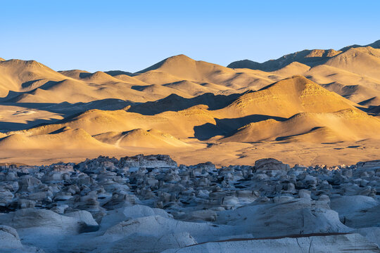 Pumice fields bathed in sunset glow at Argentine plateau