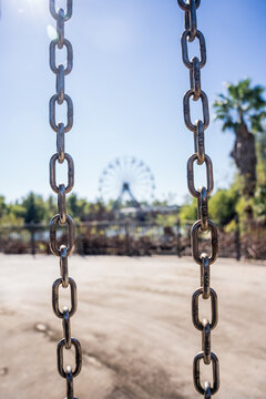 Overgrown roller coaster and decaying rides at abandoned New Orleans amusement park