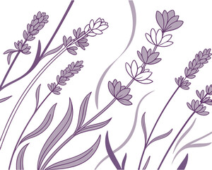 Elegant Lavender Floral Vector Illustration with Gentle Purple Hues and Serene White Background for Artistic Projects