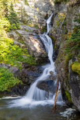 Naklejka premium Aster Falls Glacier National Park Montana