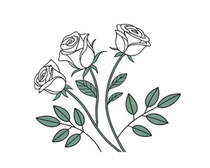 Elegant White Roses with Delicate Outlines and Green Leaves on Clean White Background for Design and Illustration Use