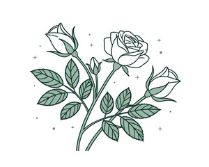 Elegant Rose Line Art Illustration with Buds and Leaves Delicate Floral Design for Prints and Backgrounds