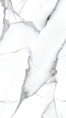 Elegant white surface with striking grey veins, creating a luxurious marble effect