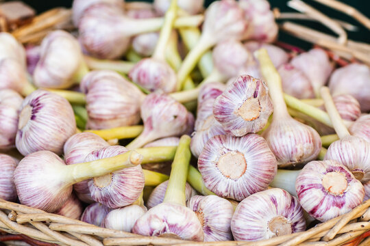 Garlic bulbs in a woven basket