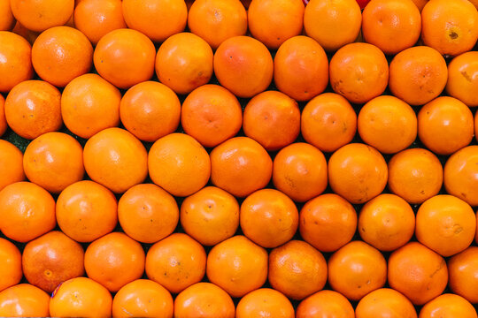 Fresh oranges displayed neatly at the market