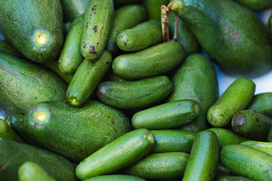 Fresh avocados at a market display