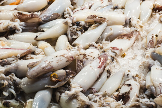 Fresh squid on ice at a bustling seafood market