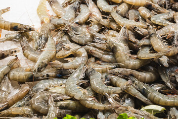 Fresh shrimp displayed on ice at seafood market