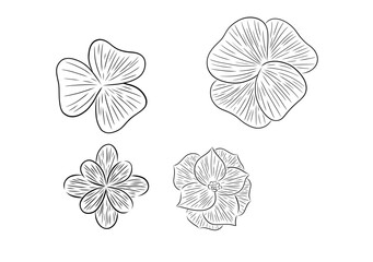 DIFERENTES FLORES ESTILO LINEAL, FLORES CON DIBUJO LINEAL EN VECTOR