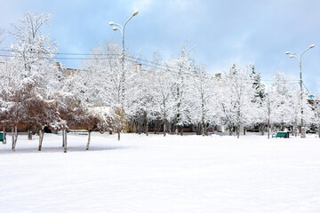 Natural winter landscape. City park and road in snow. snow-covered tall trees and pines. Ice on branches. snow and sun. walk in forest. sport in nature. Symbol of season. copy space