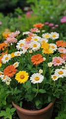 Colorful flowers in pot, featuring orange, white, pink, and yellow blooms, create vibrant garden scene filled with lush greenery and cheerful